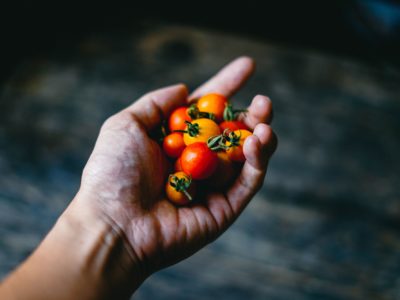 Tomato Temp