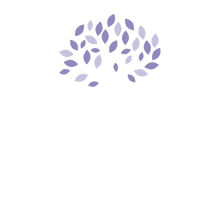 The Trading Point