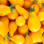 Yellow Pear tomato